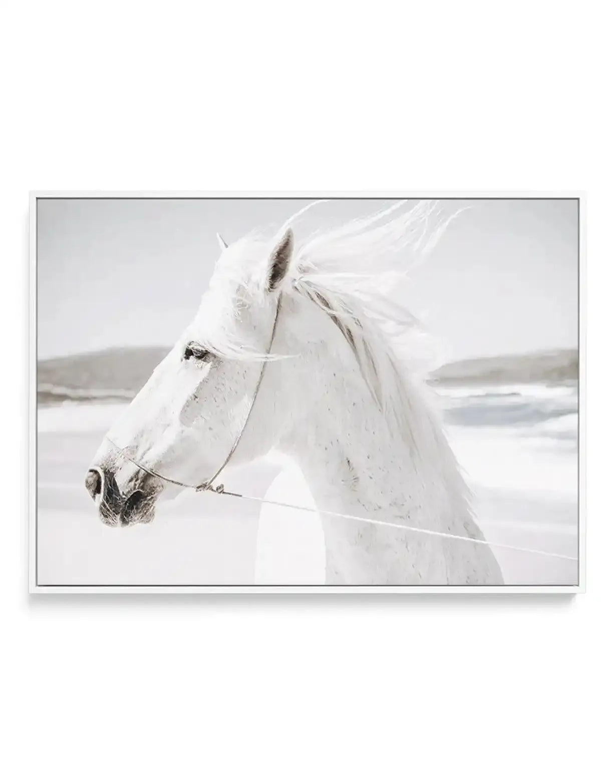 White Horse | Down in Mexico | Framed Canvas-CANVAS-You can shop wall art online with Olive et Oriel for everything from abstract art to fun kids wall art. Our beautiful modern art prints and canvas art are available from large canvas prints to wall art paintings and our proudly Australian artwork collection offers only the highest quality framed large wall art and canvas art Australia - You can buy fashion photography prints or Hampton print posters and paintings on canvas from Olive et Oriel a