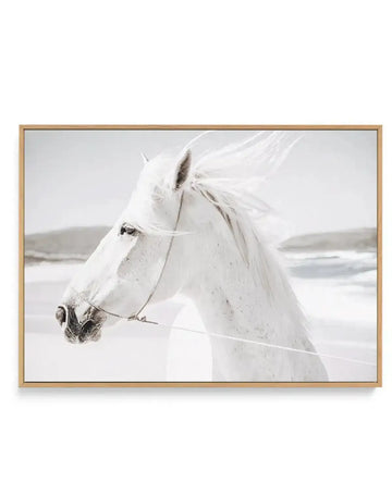 Framed canvas art print featuring a white horse in profile facing left, with flowing mane and forelock caught mid-movement. The horse wears a halter and lead rope. Photograph-style imagery with soft, muted tones of cream, white, and gray. Background shows a misty, overcast coastal landscape with water and rolling hills. Natural light and ethereal quality throughout. Displayed in a natural wood frame with white border against white background.