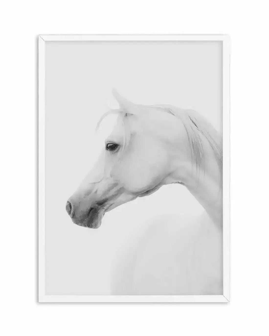 White Horse I Art Print-PRINT-Olive et Oriel-Olive et Oriel-A5 | 5.8" x 8.3" | 14.8 x 21cm-White-With White Border-Buy-Australian-Art-Prints-Online-with-Olive-et-Oriel-Your-Artwork-Specialists-Austrailia-Decorate-With-Coastal-Photo-Wall-Art-Prints-From-Our-Beach-House-Artwork-Collection-Fine-Poster-and-Framed-Artwork