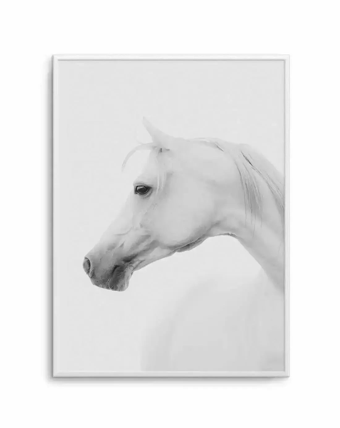 White Horse I Art Print-PRINT-Olive et Oriel-Olive et Oriel-A5 | 5.8" x 8.3" | 14.8 x 21cm-Unframed Art Print-With White Border-Buy-Australian-Art-Prints-Online-with-Olive-et-Oriel-Your-Artwork-Specialists-Austrailia-Decorate-With-Coastal-Photo-Wall-Art-Prints-From-Our-Beach-House-Artwork-Collection-Fine-Poster-and-Framed-Artwork