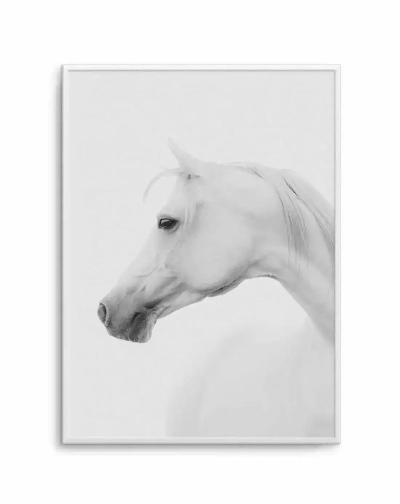 Framed black and white photograph of a white horse's head and neck in profile, facing left, against a bright white background. The horse has dark eyes and a short mane, with subtle details of its coat and muscle definition visible. The print is displayed in a white frame with a white border.