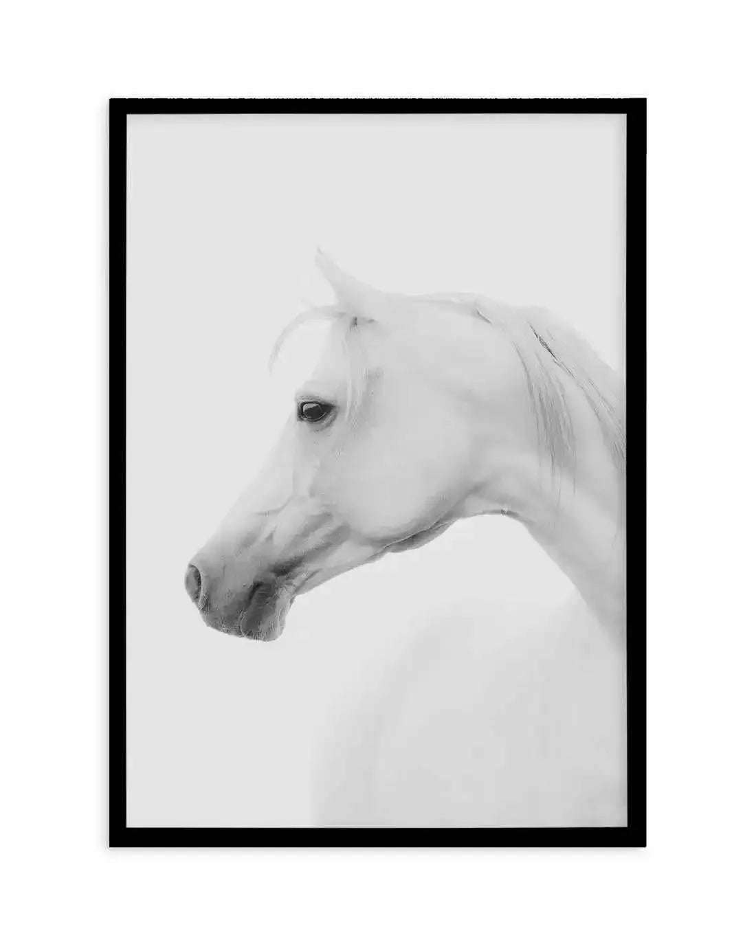 White Horse I Art Print-PRINT-Olive et Oriel-Olive et Oriel-A5 | 5.8" x 8.3" | 14.8 x 21cm-Black-With White Border-Buy-Australian-Art-Prints-Online-with-Olive-et-Oriel-Your-Artwork-Specialists-Austrailia-Decorate-With-Coastal-Photo-Wall-Art-Prints-From-Our-Beach-House-Artwork-Collection-Fine-Poster-and-Framed-Artwork