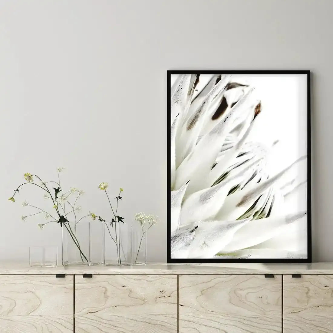 White King Protea Art Print-PRINT-Olive et Oriel-Olive et Oriel-Buy-Australian-Art-Prints-Online-with-Olive-et-Oriel-Your-Artwork-Specialists-Austrailia-Decorate-With-Coastal-Photo-Wall-Art-Prints-From-Our-Beach-House-Artwork-Collection-Fine-Poster-and-Framed-Artwork