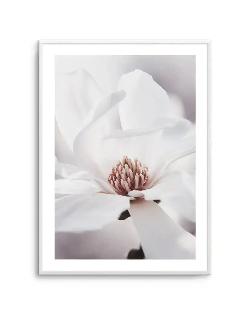 Framed photography art print of a close-up white magnolia flower with a white frame and white border. The composition focuses on the delicate white petals and the prominent pink and brown stamen at the center, with soft, blurred details in the background.