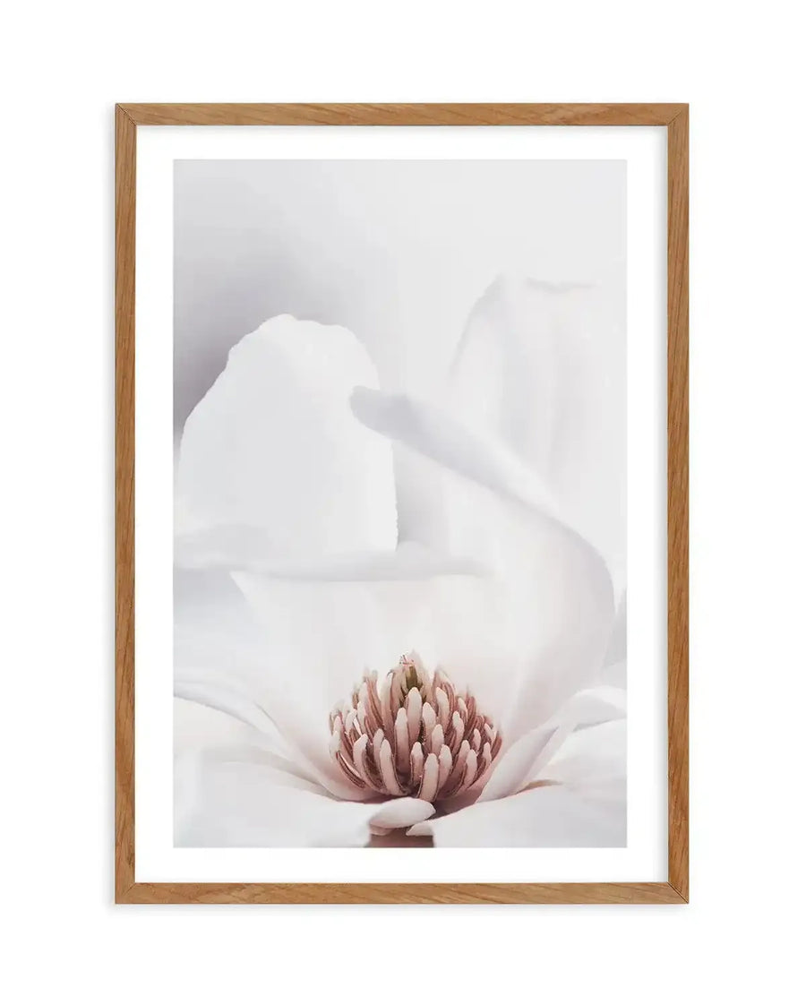 Framed photography art print of a close-up white magnolia flower with a natural oak frame and white border. The composition focuses on the delicate white petals and the prominent pink and cream stamen in the center, capturing fine texture and soft light.