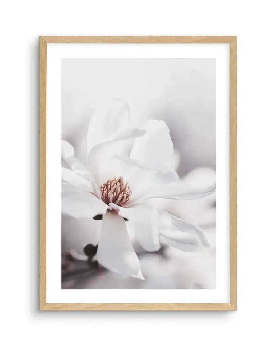 Framed photograph of a white magnolia flower with a natural oak frame and white border. The close-up composition features the delicate white petals of the magnolia, with a soft pink and brown stamen at its center, against a blurred, light grey background.