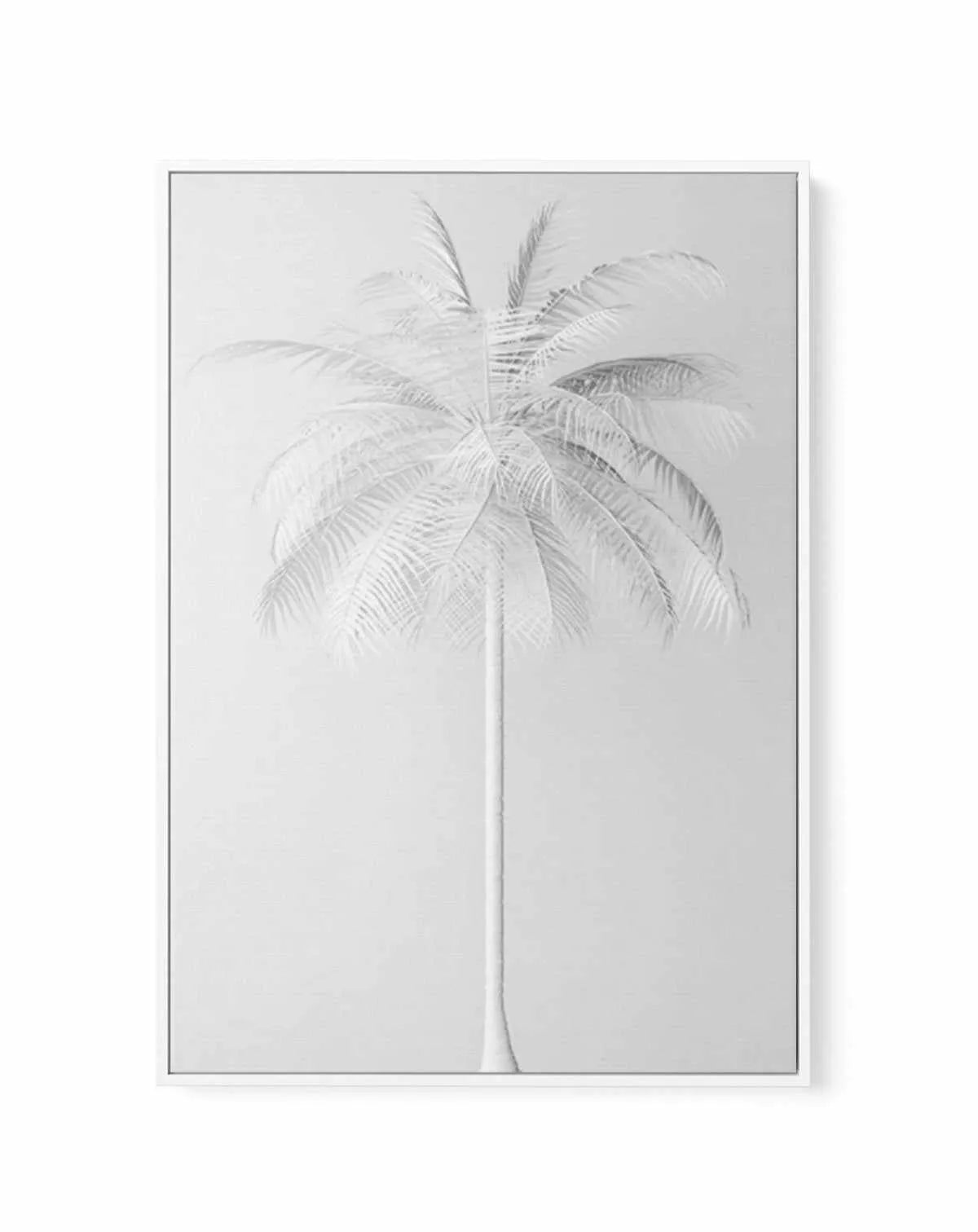 White Palm on Grey | Framed Canvas-CANVAS-You can shop wall art online with Olive et Oriel for everything from abstract art to fun kids wall art. Our beautiful modern art prints and canvas art are available from large canvas prints to wall art paintings and our proudly Australian artwork collection offers only the highest quality framed large wall art and canvas art Australia - You can buy fashion photography prints or Hampton print posters and paintings on canvas from Olive et Oriel and have th