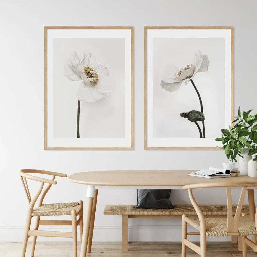 Lifestyle shot of two framed art prints displayed side-by-side above a light wood dining table. The prints feature minimalist black and white photographs of white poppy flowers with dark stems on a bright white background, displayed in natural oak frames with white borders. The dining room includes light wood chairs with woven seats and a bench, and a vase of green foliage on the table.