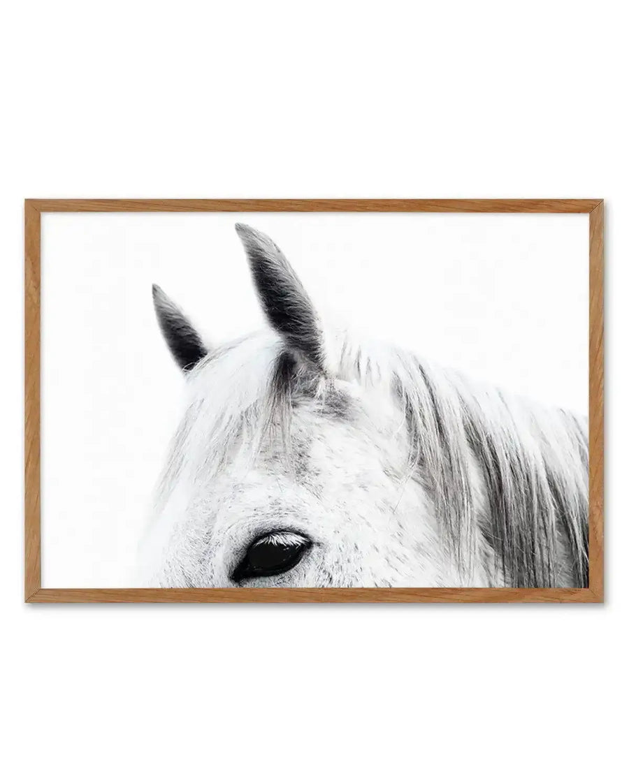 Black and white photographic art print titled "White Spirit II" featuring a close-up portrait of a white horse's head against a white background. The horse has pointed ears with dark inner edges, a flowing white mane, and a dark eye visible in profile. The image has a minimalist, high-contrast aesthetic with subtle gray tones in the horse's features and mane. The print is displayed in a natural wood frame with a white border.