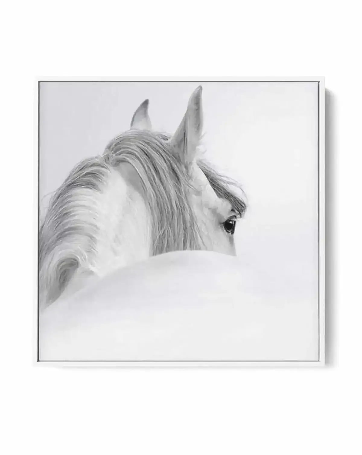 White Spirit SQ | Framed Canvas-CANVAS-You can shop wall art online with Olive et Oriel for everything from abstract art to fun kids wall art. Our beautiful modern art prints and canvas art are available from large canvas prints to wall art paintings and our proudly Australian artwork collection offers only the highest quality framed large wall art and canvas art Australia - You can buy fashion photography prints or Hampton print posters and paintings on canvas from Olive et Oriel and have them 