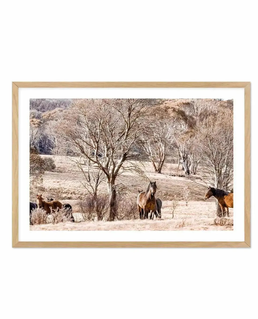 Wild Brumbies | Protector Art Print-PRINT-Olive et Oriel-Olive et Oriel-A5 | 5.8" x 8.3" | 14.8 x 21cm-Oak-With White Border-Buy-Australian-Art-Prints-Online-with-Olive-et-Oriel-Your-Artwork-Specialists-Austrailia-Decorate-With-Coastal-Photo-Wall-Art-Prints-From-Our-Beach-House-Artwork-Collection-Fine-Poster-and-Framed-Artwork