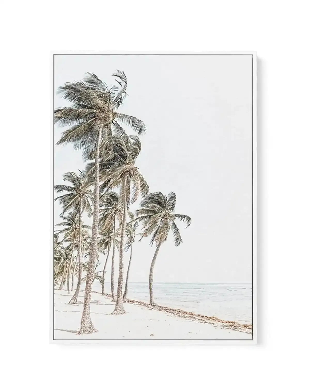 Windy Palms | Framed Canvas-CANVAS-You can shop wall art online with Olive et Oriel for everything from abstract art to fun kids wall art. Our beautiful modern art prints and canvas art are available from large canvas prints to wall art paintings and our proudly Australian artwork collection offers only the highest quality framed large wall art and canvas art Australia - You can buy fashion photography prints or Hampton print posters and paintings on canvas from Olive et Oriel and have them deli