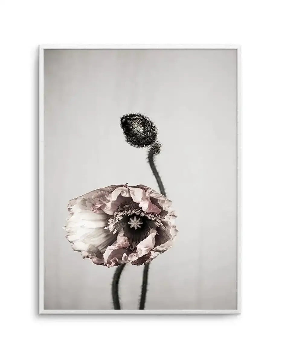 You're All I Need Art Print-PRINT-Olive et Oriel-Olive et Oriel-A4 | 8.3" x 11.7" | 21 x 29.7cm-Unframed Art Print-With White Border-Buy-Australian-Art-Prints-Online-with-Olive-et-Oriel-Your-Artwork-Specialists-Austrailia-Decorate-With-Coastal-Photo-Wall-Art-Prints-From-Our-Beach-House-Artwork-Collection-Fine-Poster-and-Framed-Artwork