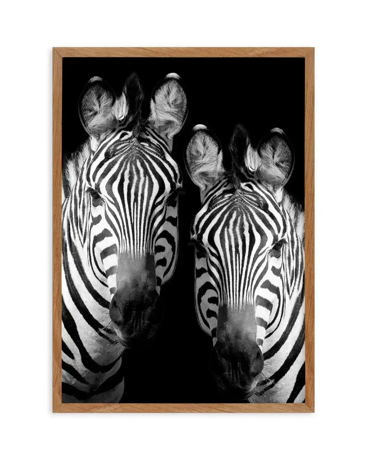 Zebra De Nuit | PT Art Print-PRINT-Olive et Oriel-Olive et Oriel-50x70 cm | 19.6" x 27.5"-Walnut-With White Border-Buy-Australian-Art-Prints-Online-with-Olive-et-Oriel-Your-Artwork-Specialists-Austrailia-Decorate-With-Coastal-Photo-Wall-Art-Prints-From-Our-Beach-House-Artwork-Collection-Fine-Poster-and-Framed-Artwork