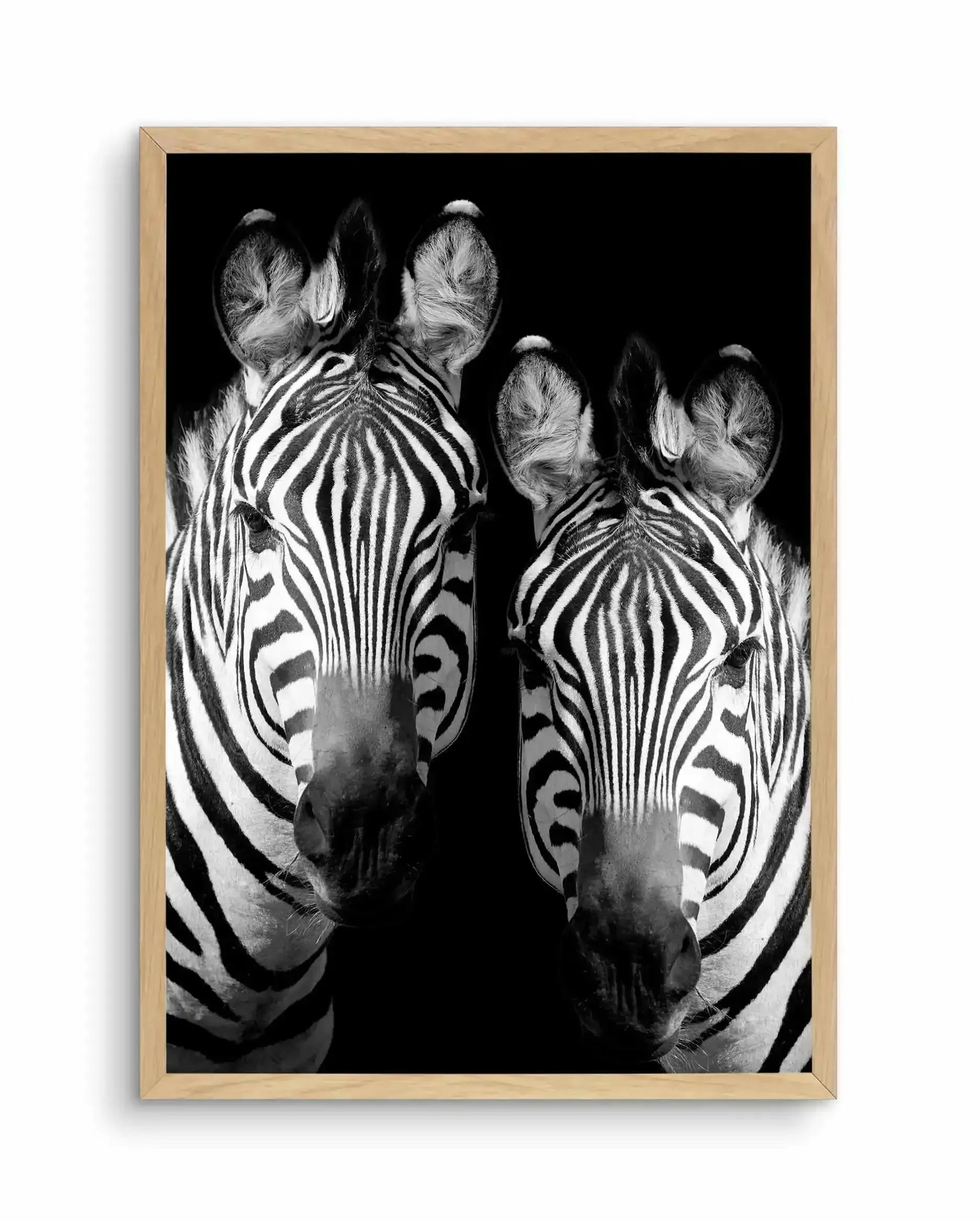Zebra De Nuit | PT Art Print-PRINT-Olive et Oriel-Olive et Oriel-A5 | 5.8" x 8.3" | 14.8 x 21cm-Oak-With White Border-Buy-Australian-Art-Prints-Online-with-Olive-et-Oriel-Your-Artwork-Specialists-Austrailia-Decorate-With-Coastal-Photo-Wall-Art-Prints-From-Our-Beach-House-Artwork-Collection-Fine-Poster-and-Framed-Artwork