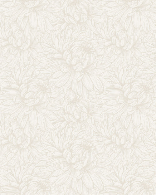 Chrysanthemum Flower Beige Wallpaper