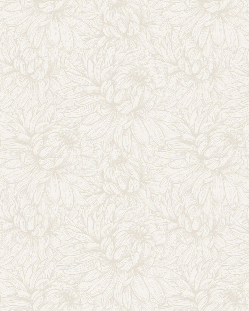 Chrysanthemum Flower Beige Wallpaper