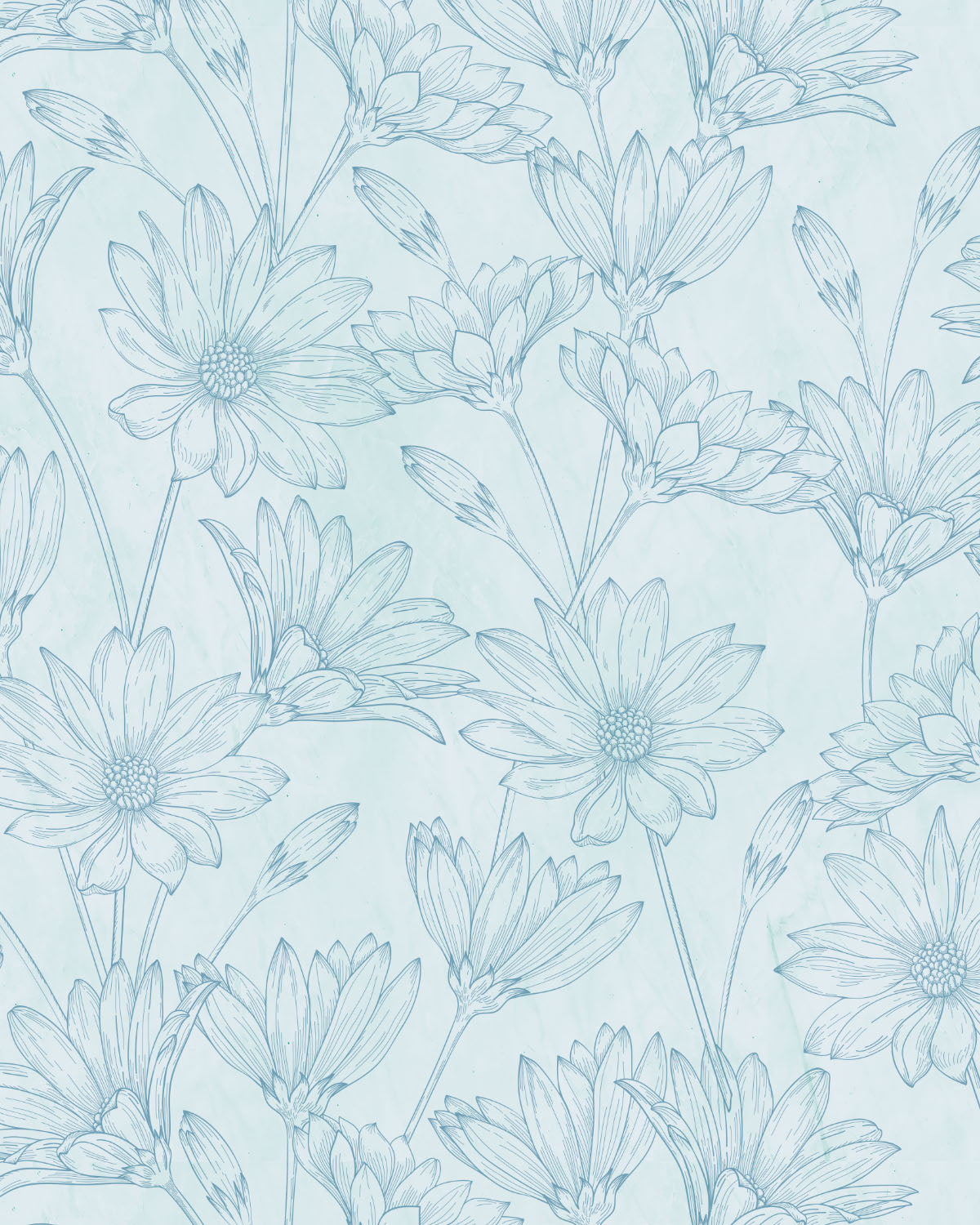 Field Flower Blue Wallpaper