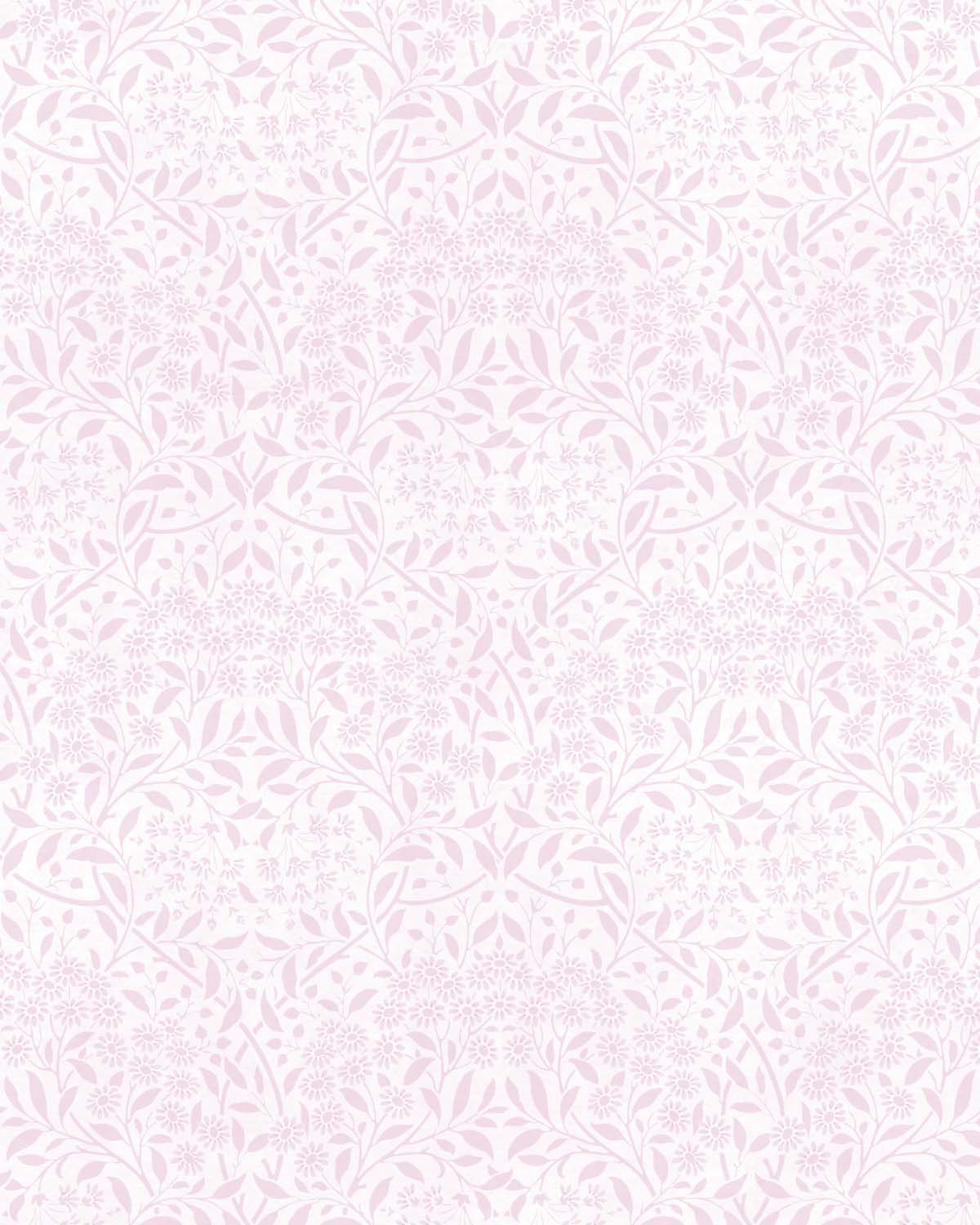 Delicate Daisies Pink Wallpaper