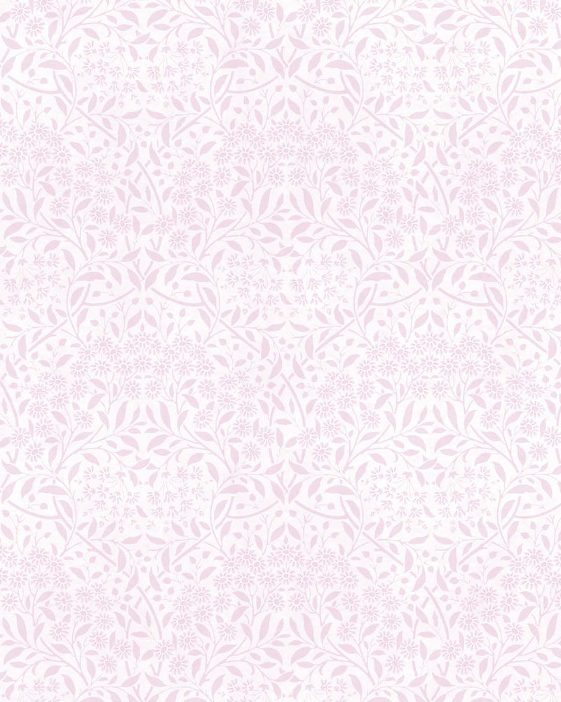 Delicate Daisies Pink Wallpaper