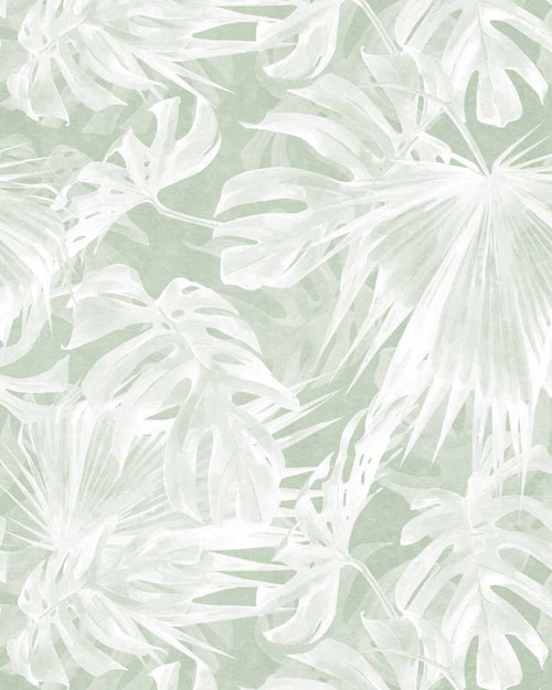 Maui Palm Sage Green Wallpaper-Wallpaper-Buy Australian Removable Wallpaper Now Sage Green Wallpaper Peel And Stick Wallpaper Online At Olive et Oriel Custom Made Wallpapers Wall Papers Decorate Your Bedroom Living Room Kids Room or Commercial Interior