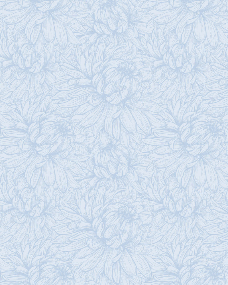Chrysanthemum Flower Blue Wallpaper