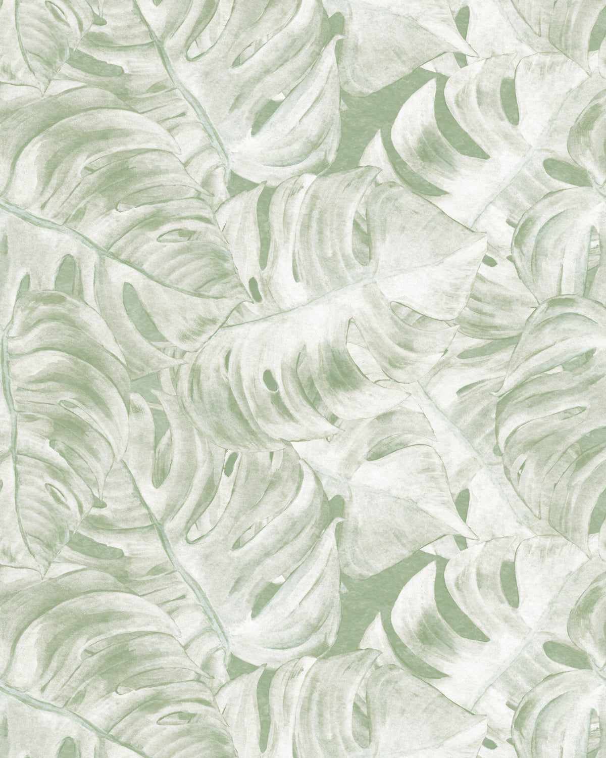 Hamptons Monstera Sage Green Wallpaper