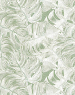 Hamptons Monstera Sage Green Wallpaper