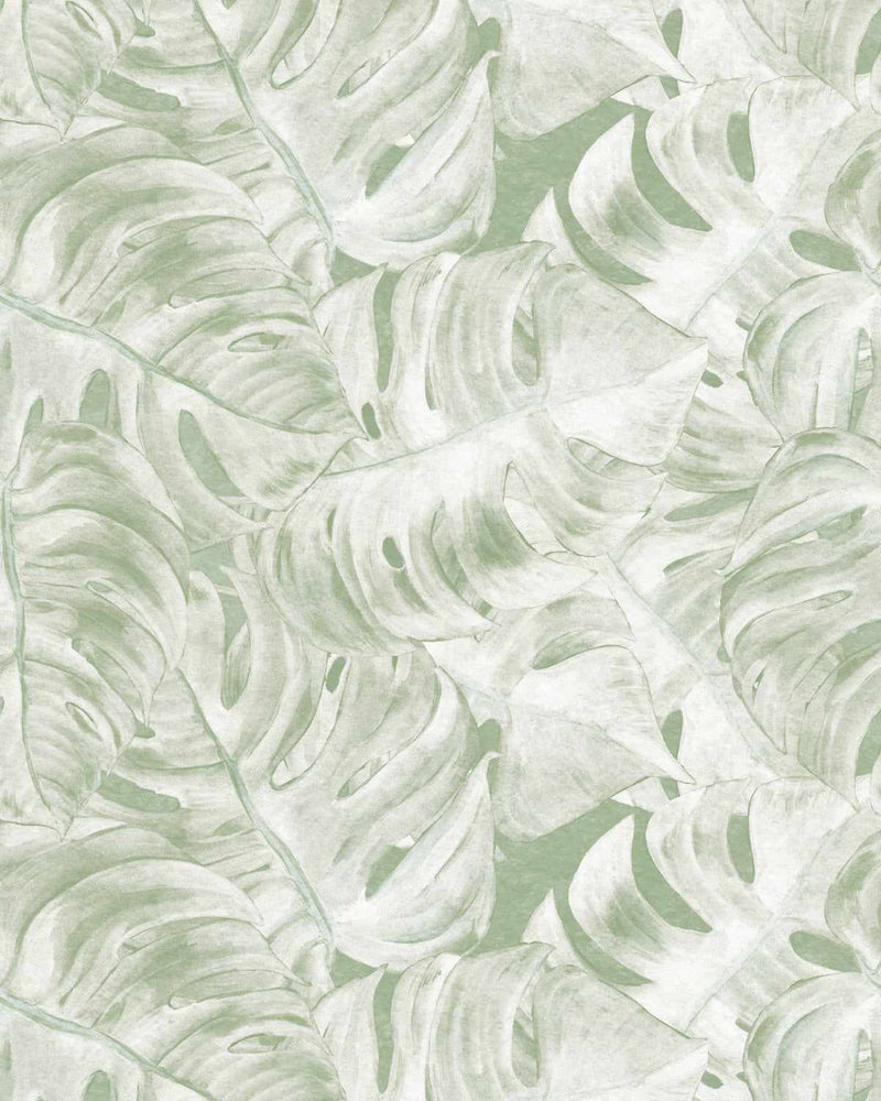 Hamptons Monstera Sage Green Wallpaper