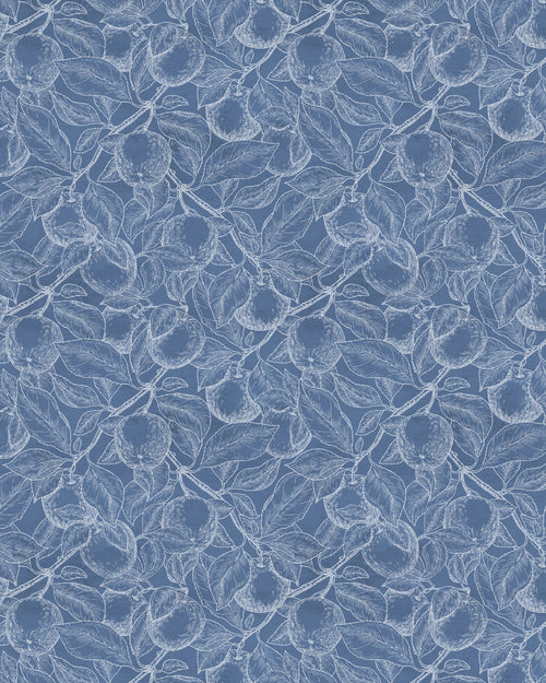 Orchid Foliage Navy Blue Wallpaper