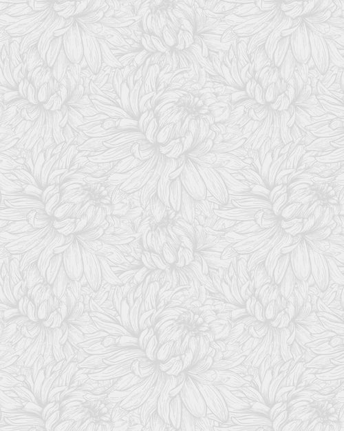 Chrysanthemum Flower Grey Wallpaper
