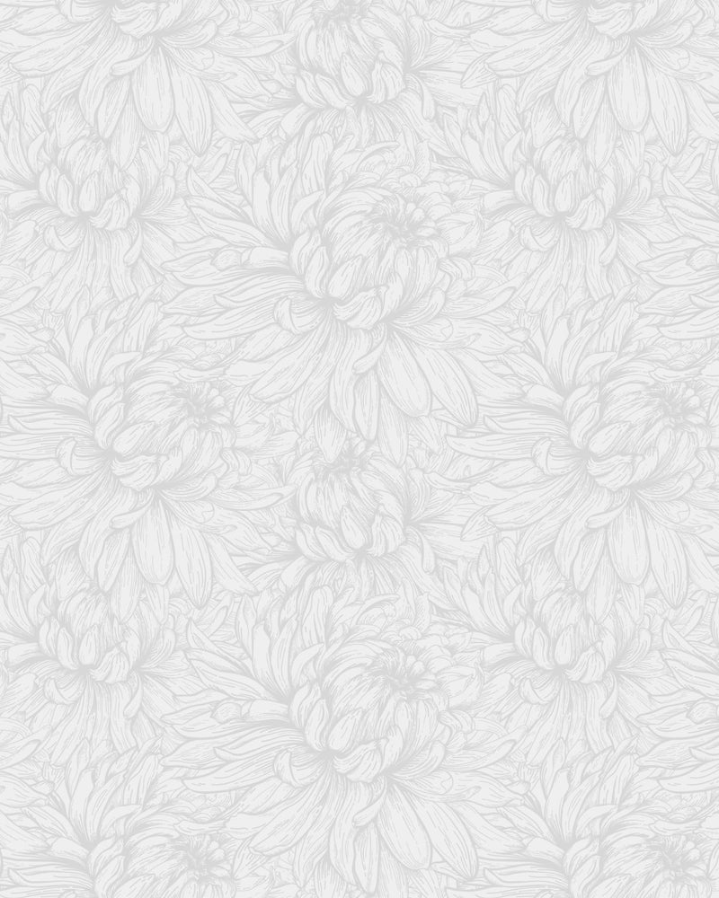 Shop Chrysanthemum Flower Grey Australian Made Wallpaper Online