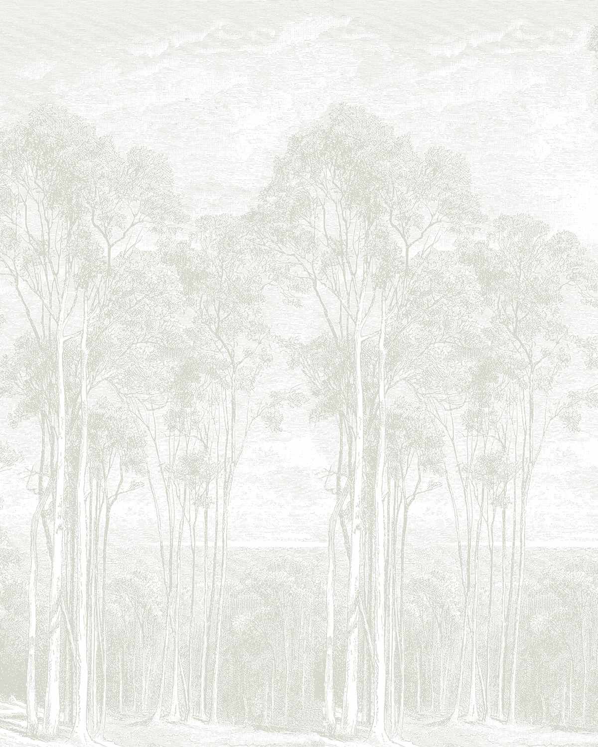 Eucalyptus Trees Soft Sage Green Wallpaper