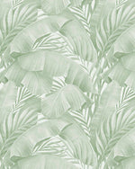 Canopy Sage Green Wallpaper-Wallpaper-Buy Australian Removable Wallpaper Now Sage Green Wallpaper Peel And Stick Wallpaper Online At Olive et Oriel Custom Made Wallpapers Wall Papers Decorate Your Bedroom Living Room Kids Room or Commercial Interior