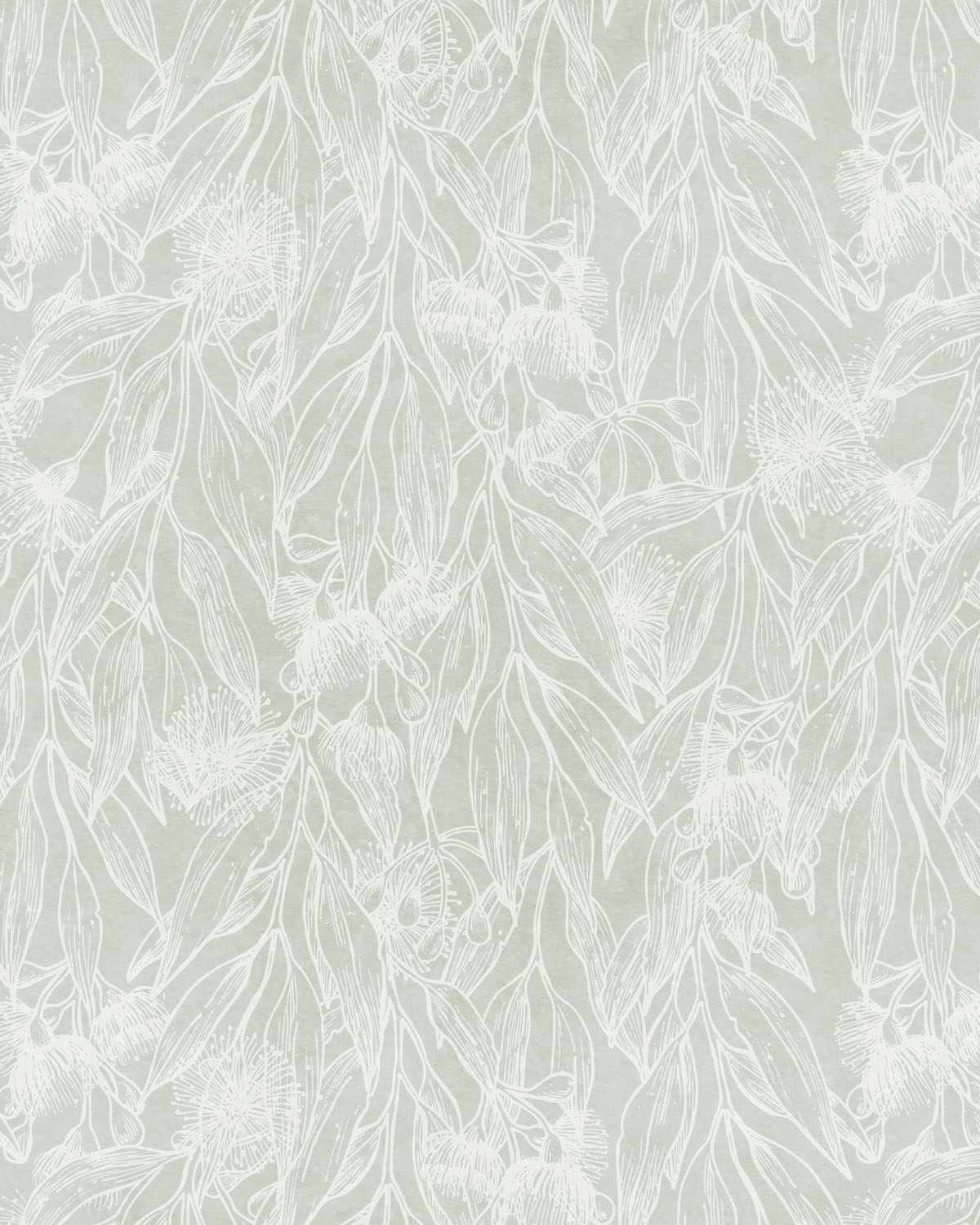 Eucalyptus Flowering Gum Sage Green Wallpaper