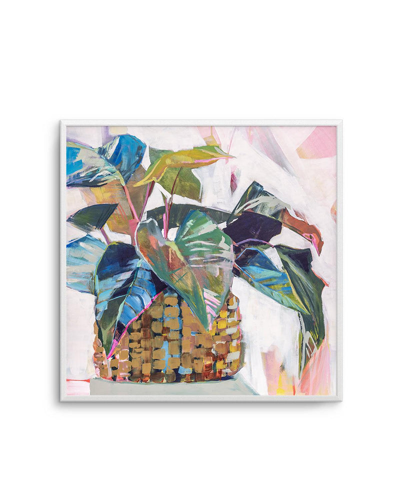 Abbey's Plant by Jenny Westenhofer SQ Art Print-PRINT-Olive et Oriel-Jenny Westenhofer-Buy-Australian-Art-Prints-Online-with-Olive-et-Oriel-Your-Artwork-Specialists-Austrailia-Decorate-With-Coastal-Photo-Wall-Art-Prints-From-Our-Beach-House-Artwork-Collection-Fine-Poster-and-Framed-Artwork