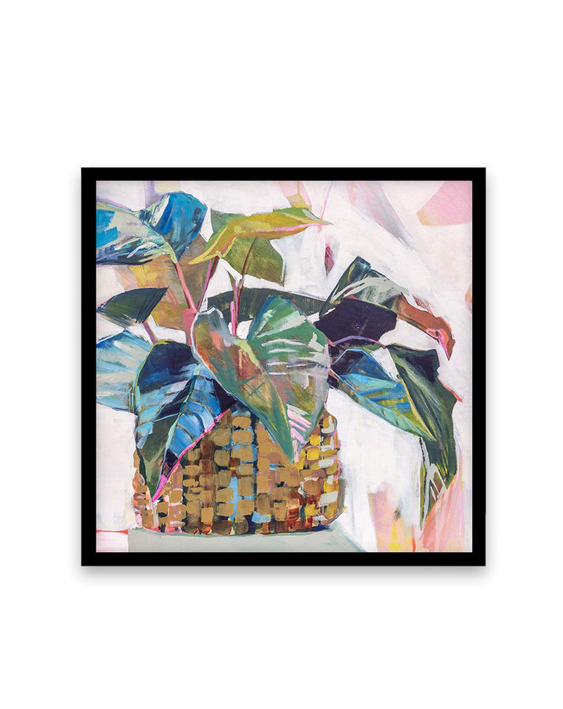 Abbey's Plant by Jenny Westenhofer SQ Art Print-PRINT-Olive et Oriel-Jenny Westenhofer-70x70 cm | 27.5" x 27.5"-Black-With White Border-Buy-Australian-Art-Prints-Online-with-Olive-et-Oriel-Your-Artwork-Specialists-Austrailia-Decorate-With-Coastal-Photo-Wall-Art-Prints-From-Our-Beach-House-Artwork-Collection-Fine-Poster-and-Framed-Artwork