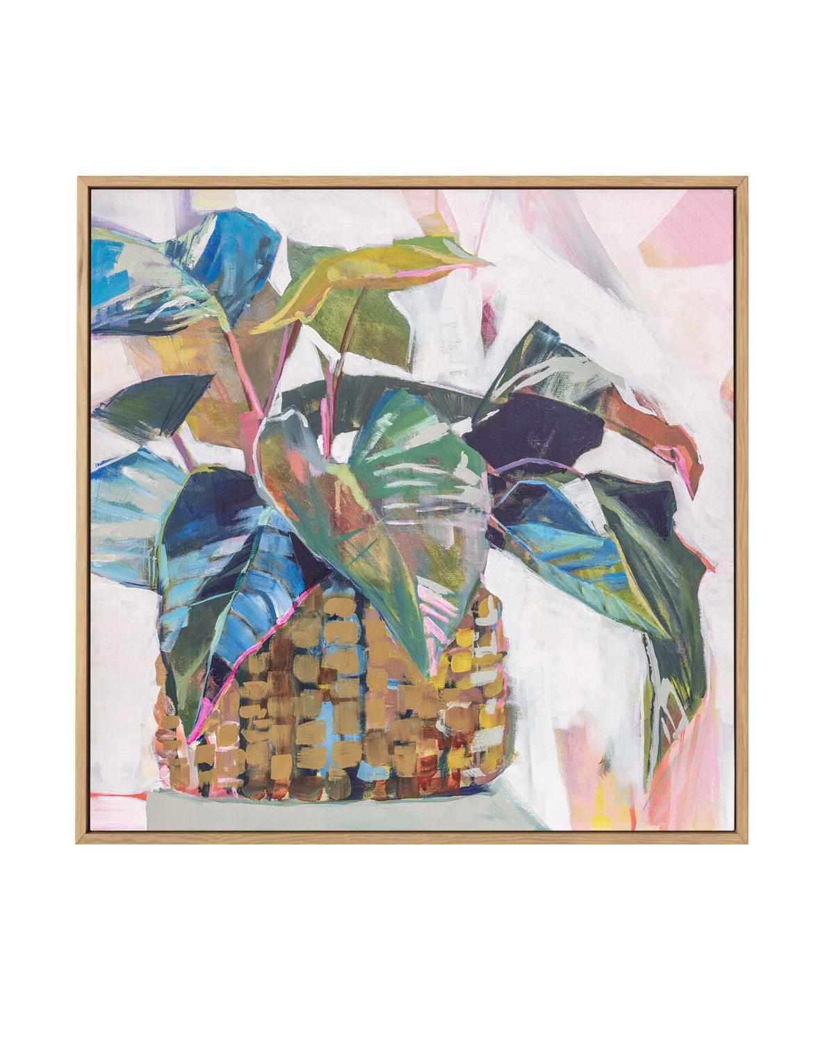 Abbey's Plant by Jenny Westenhofer | Framed Canvas Art Print