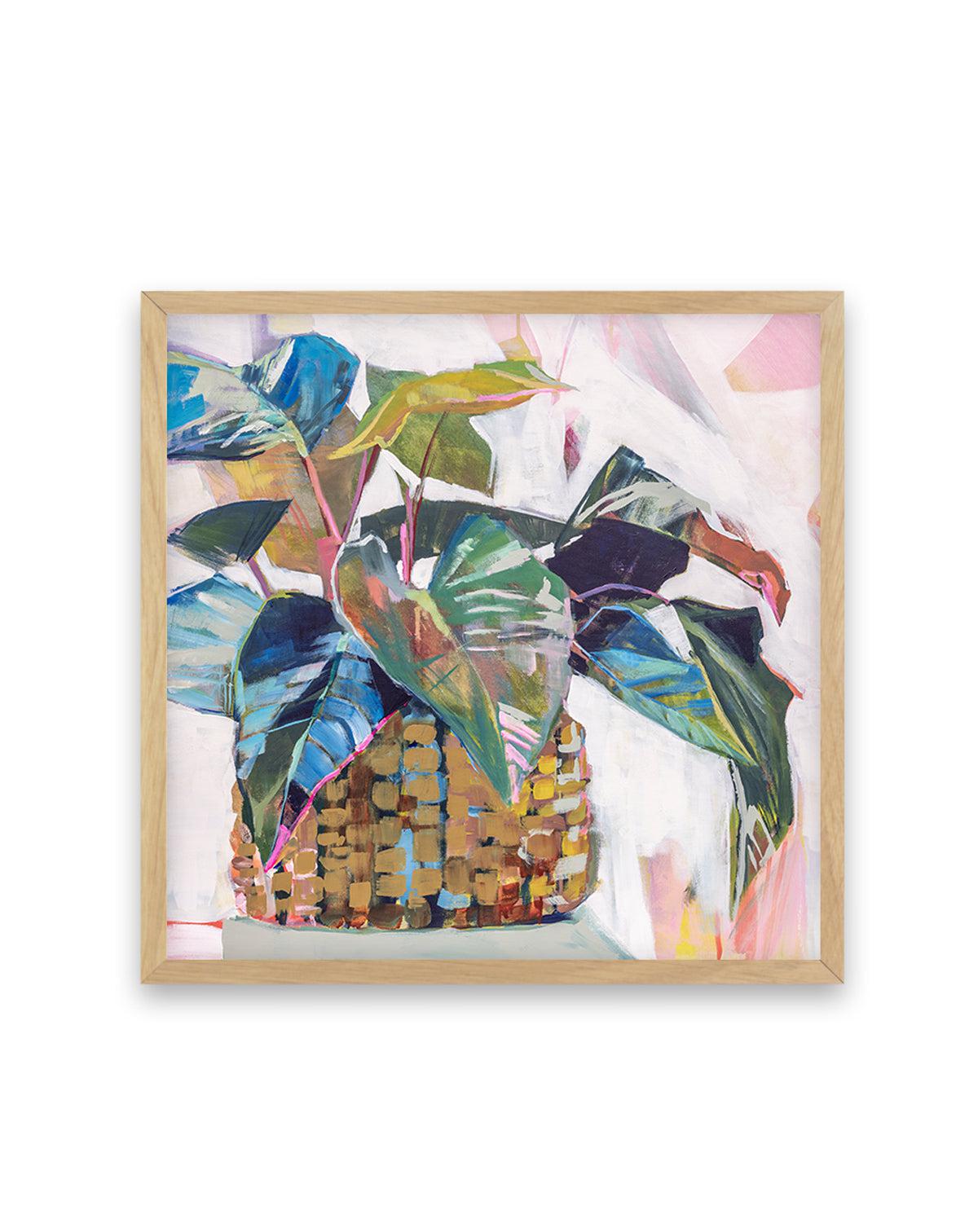 Abbey's Plant by Jenny Westenhofer SQ Art Print-PRINT-Olive et Oriel-Jenny Westenhofer-70x70 cm | 27.5" x 27.5"-Oak-With White Border-Buy-Australian-Art-Prints-Online-with-Olive-et-Oriel-Your-Artwork-Specialists-Austrailia-Decorate-With-Coastal-Photo-Wall-Art-Prints-From-Our-Beach-House-Artwork-Collection-Fine-Poster-and-Framed-Artwork