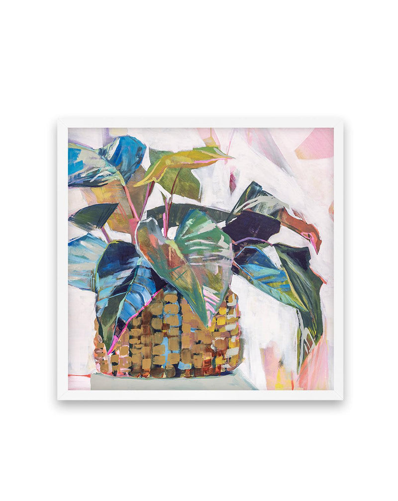 Abbey's Plant by Jenny Westenhofer SQ Art Print-PRINT-Olive et Oriel-Jenny Westenhofer-70x70 cm | 27.5" x 27.5"-White-With White Border-Buy-Australian-Art-Prints-Online-with-Olive-et-Oriel-Your-Artwork-Specialists-Austrailia-Decorate-With-Coastal-Photo-Wall-Art-Prints-From-Our-Beach-House-Artwork-Collection-Fine-Poster-and-Framed-Artwork