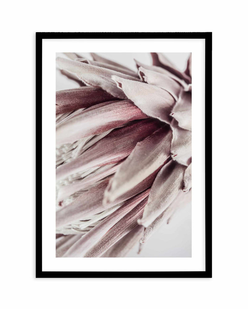Abstract Protea II Art Print-Buy-Bohemian-Wall-Art-Print-And-Boho-Pictures-from-Olive-et-Oriel-Bohemian-Wall-Art-Print-And-Boho-Pictures-And-Also-Boho-Abstract-Art-Paintings-On-Canvas-For-A-Girls-Bedroom-Wall-Decor-Collection-of-Boho-Style-Feminine-Art-Poster-and-Framed-Artwork-Update-Your-Home-Decorating-Style-With-These-Beautiful-Wall-Art-Prints-Australia