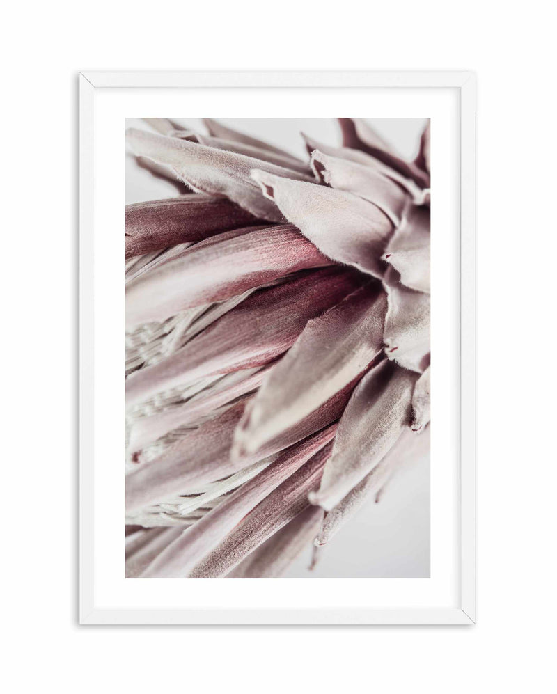 Abstract Protea II Art Print-Buy-Bohemian-Wall-Art-Print-And-Boho-Pictures-from-Olive-et-Oriel-Bohemian-Wall-Art-Print-And-Boho-Pictures-And-Also-Boho-Abstract-Art-Paintings-On-Canvas-For-A-Girls-Bedroom-Wall-Decor-Collection-of-Boho-Style-Feminine-Art-Poster-and-Framed-Artwork-Update-Your-Home-Decorating-Style-With-These-Beautiful-Wall-Art-Prints-Australia