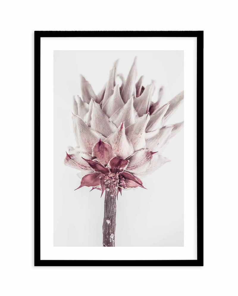 Abstract Protea III Art Print-Buy-Bohemian-Wall-Art-Print-And-Boho-Pictures-from-Olive-et-Oriel-Bohemian-Wall-Art-Print-And-Boho-Pictures-And-Also-Boho-Abstract-Art-Paintings-On-Canvas-For-A-Girls-Bedroom-Wall-Decor-Collection-of-Boho-Style-Feminine-Art-Poster-and-Framed-Artwork-Update-Your-Home-Decorating-Style-With-These-Beautiful-Wall-Art-Prints-Australia