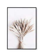 Abstract Wheat | Framed Canvas-CANVAS-You can shop wall art online with Olive et Oriel for everything from abstract art to fun kids wall art. Our beautiful modern art prints and canvas art are available from large canvas prints to wall art paintings and our proudly Australian artwork collection offers only the highest quality framed large wall art and canvas art Australia - You can buy fashion photography prints or Hampton print posters and paintings on canvas from Olive et Oriel and have them d
