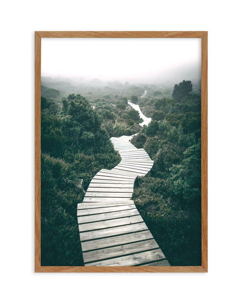Along The Tracks | Tasmania Art Print-PRINT-Olive et Oriel-Olive et Oriel-50x70 cm | 19.6" x 27.5"-Walnut-With White Border-Buy-Australian-Art-Prints-Online-with-Olive-et-Oriel-Your-Artwork-Specialists-Austrailia-Decorate-With-Coastal-Photo-Wall-Art-Prints-From-Our-Beach-House-Artwork-Collection-Fine-Poster-and-Framed-Artwork