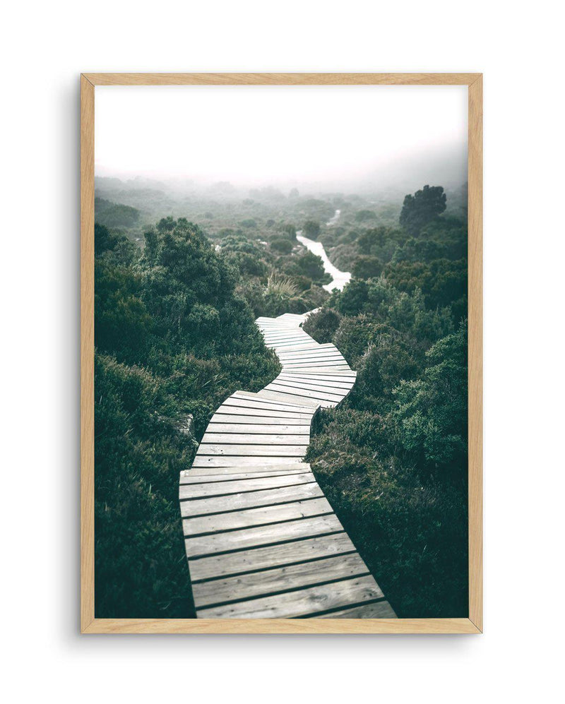 Along The Tracks | Tasmania Art Print-PRINT-Olive et Oriel-Olive et Oriel-A5 | 5.8" x 8.3" | 14.8 x 21cm-Oak-With White Border-Buy-Australian-Art-Prints-Online-with-Olive-et-Oriel-Your-Artwork-Specialists-Austrailia-Decorate-With-Coastal-Photo-Wall-Art-Prints-From-Our-Beach-House-Artwork-Collection-Fine-Poster-and-Framed-Artwork