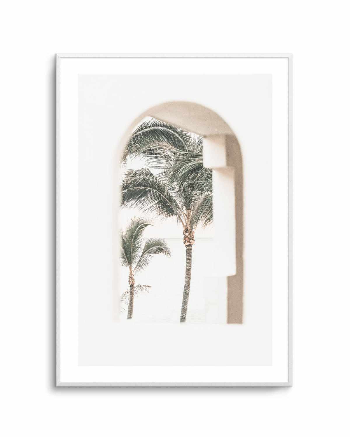 Palm Arch I by Miguel Herandez Art Print