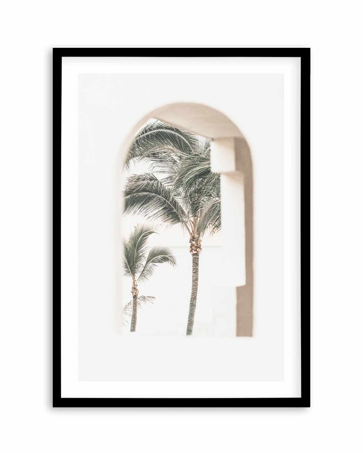 Palm Arch I by Miguel Herandez Art Print