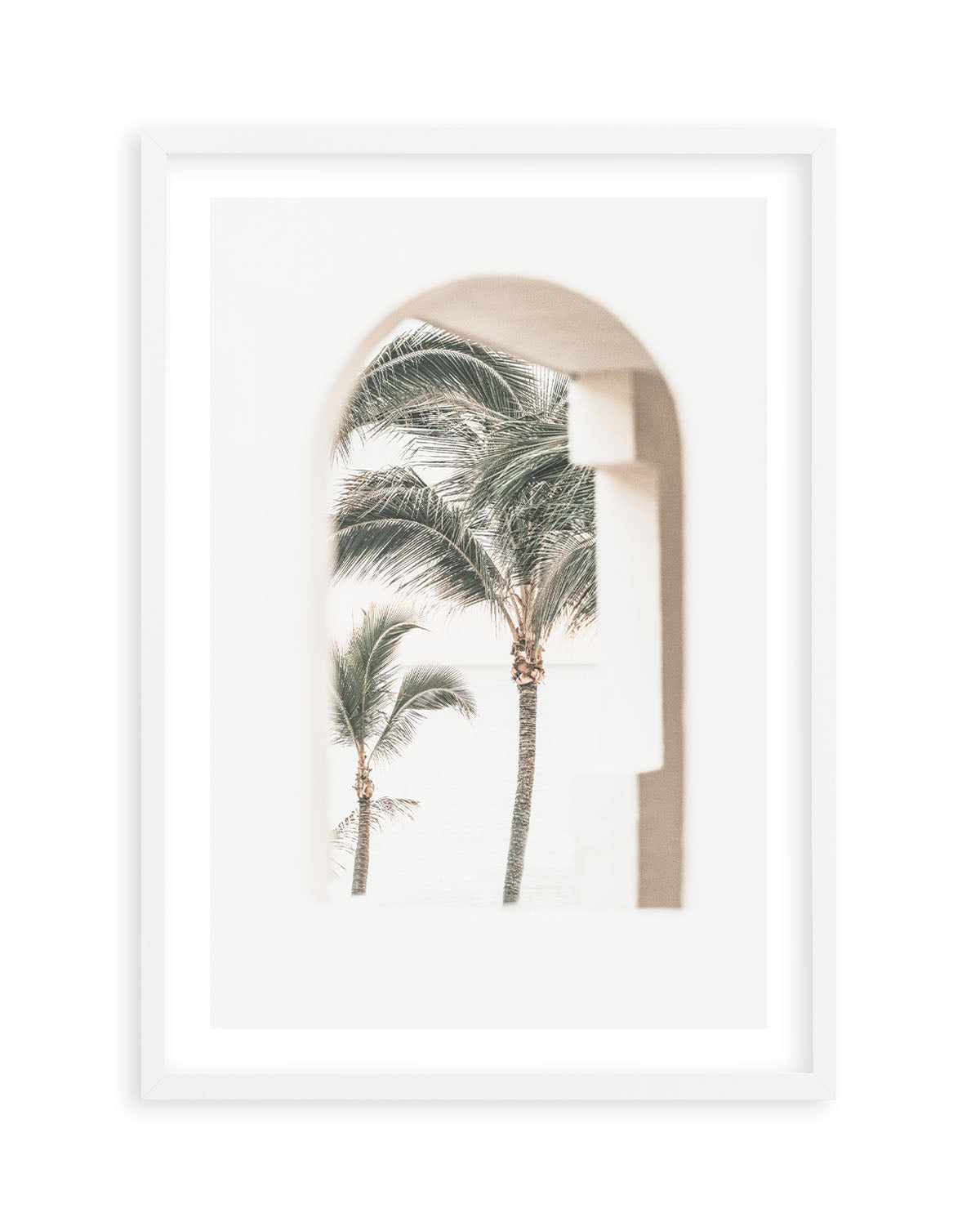 Palm Arch I by Miguel Herandez Art Print