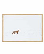 Arctic Fox | LS Art Print-PRINT-Olive et Oriel-Olive et Oriel-A5 | 5.8" x 8.3" | 14.8 x 21cm-Oak-With White Border-Buy-Australian-Art-Prints-Online-with-Olive-et-Oriel-Your-Artwork-Specialists-Austrailia-Decorate-With-Coastal-Photo-Wall-Art-Prints-From-Our-Beach-House-Artwork-Collection-Fine-Poster-and-Framed-Artwork